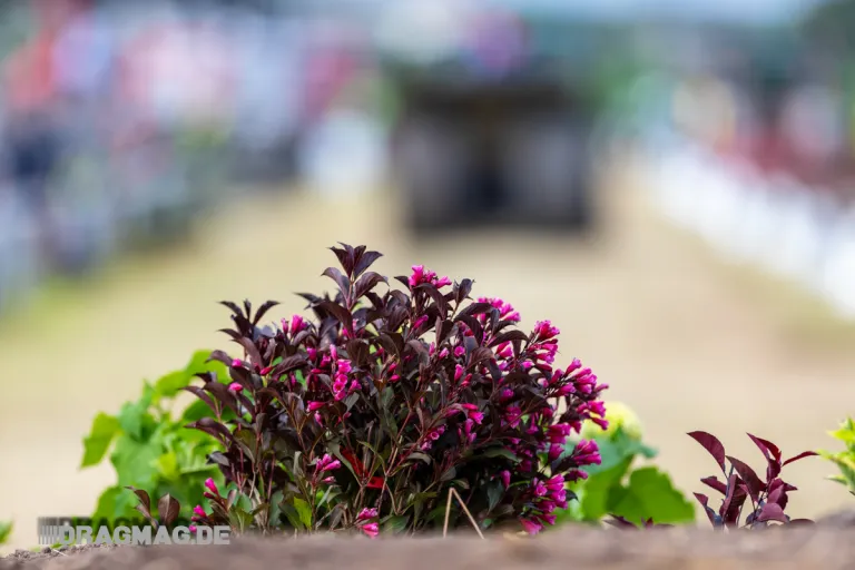 Tractor Pulling Edewecht 2026 – Foto 59